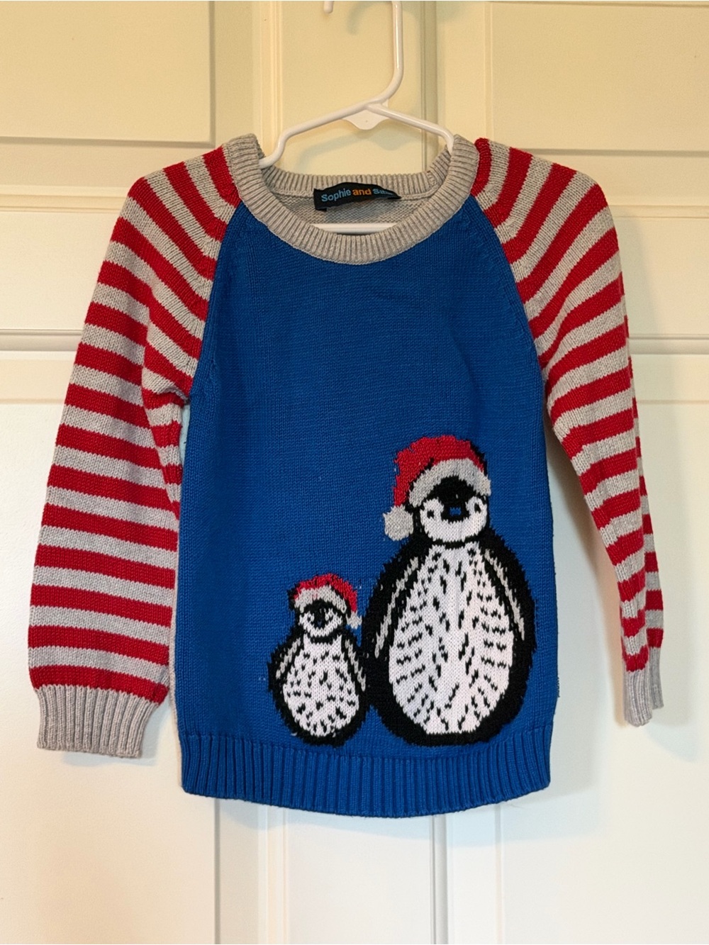 Sophie and Sam Blue Penguin Holiday Sweater for Kids